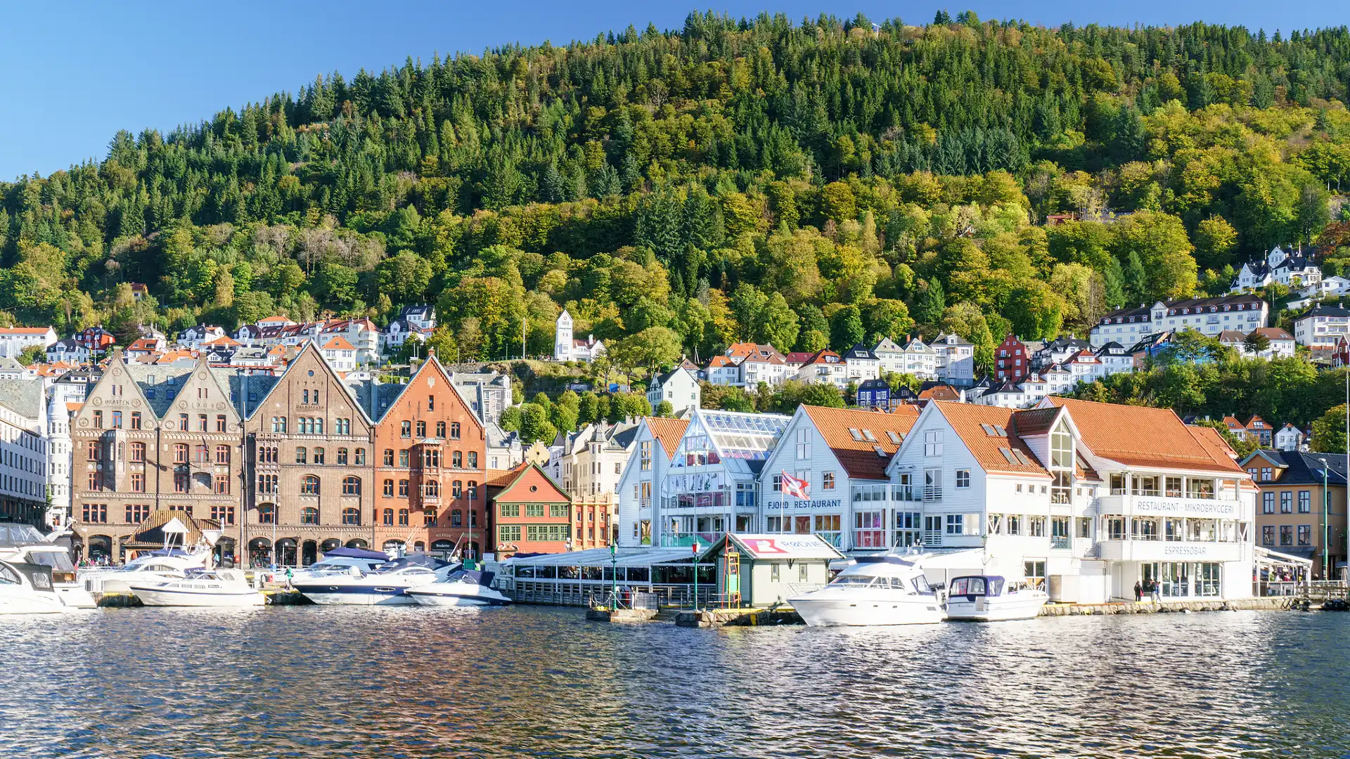 Hotels near Bryggen