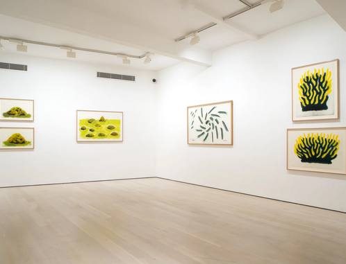 《大衛·納什：45年繪畫生涯》紙上作品大型個展 | Annely Juda Fine Art