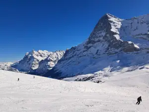 Popular Ski Resorts in Grindelwald