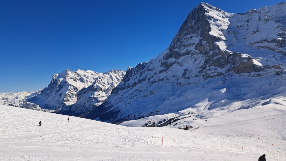 Jungfrau Ski Region - Kleine Scheidegg - Männlichen - Wengen