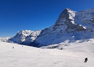 Grindelwald - Wengen
