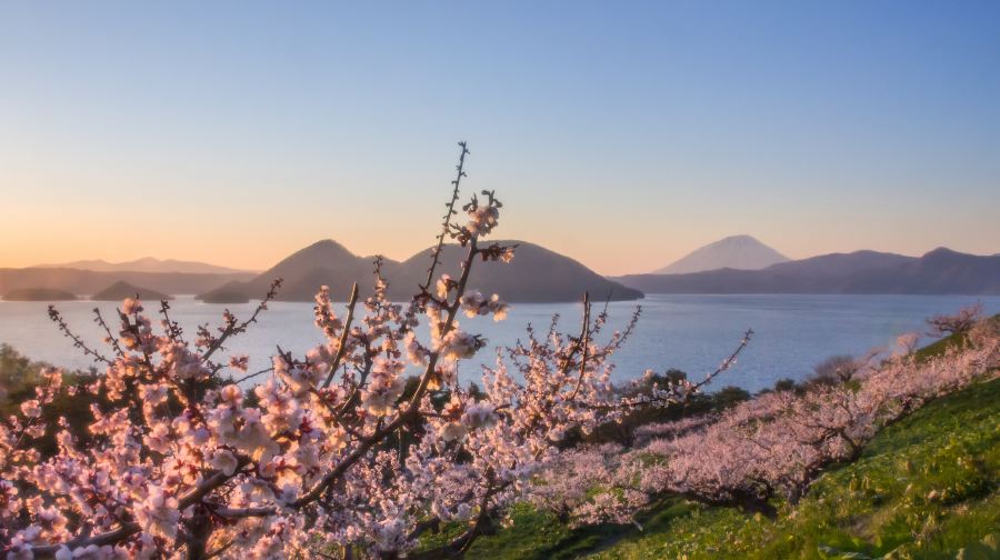 日本北海道洞爺湖一日遊