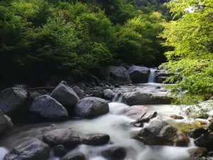 Taibai Qingfengxia Forest Park