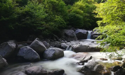 Taibai Qingfengxia Forest Park