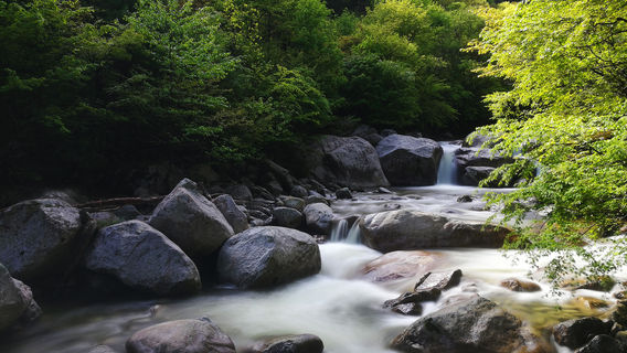 Taibai Qingfengxia Forest Park