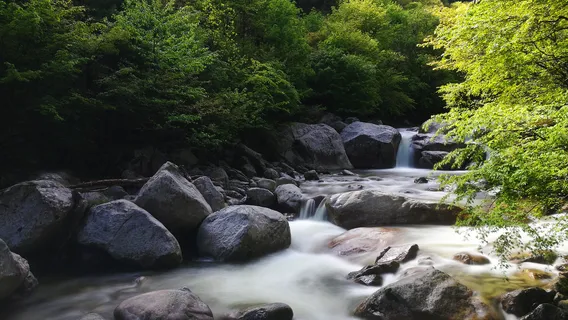青峰峽森林公園