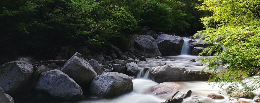 Taibai Qingfengxia Forest Park