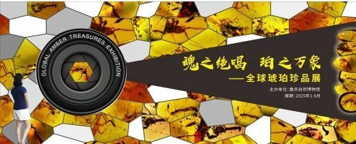 《魂之絕唱 珀之萬象》全球琥珀珍品展 | 重慶自然博物館（新館）