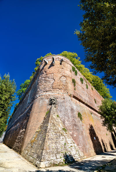 Fortezza Medicea