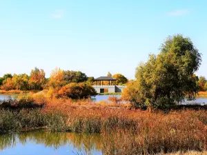 Changchun North Lake Park
