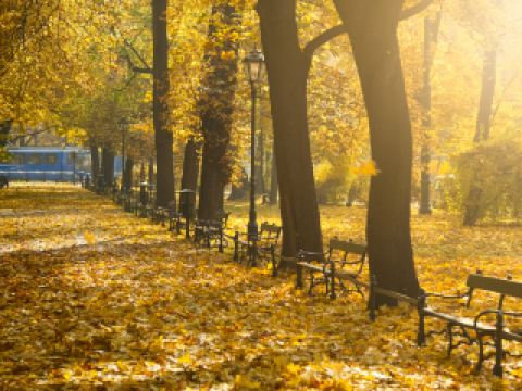 루프트한자 부다페스트-크라쿠프