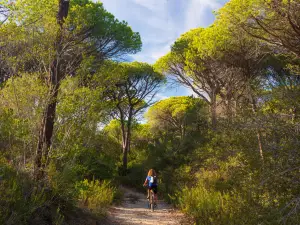 Parco della Maremma
