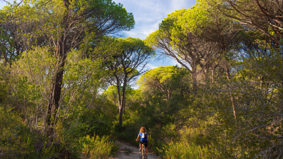 Parco della Maremma