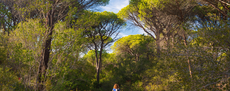 Parco della Maremma