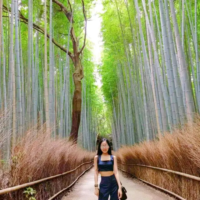 เดินเล่นที่ป่าไผ่ในเกียวโตกัน
