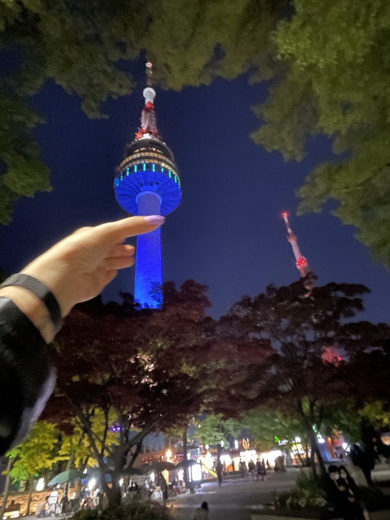 Nソウルタワー ソウル の旅行レビュー Trip Comトラベルガイド