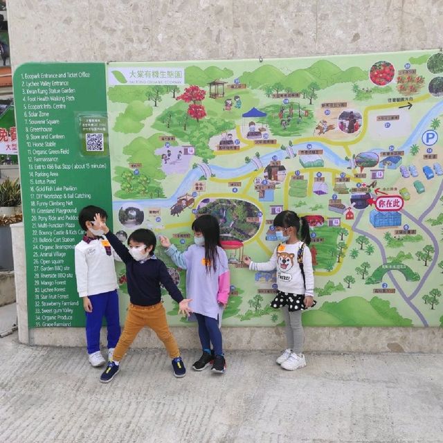 親子游--親子游的正確方式  #大棠有機生態園 #元朗