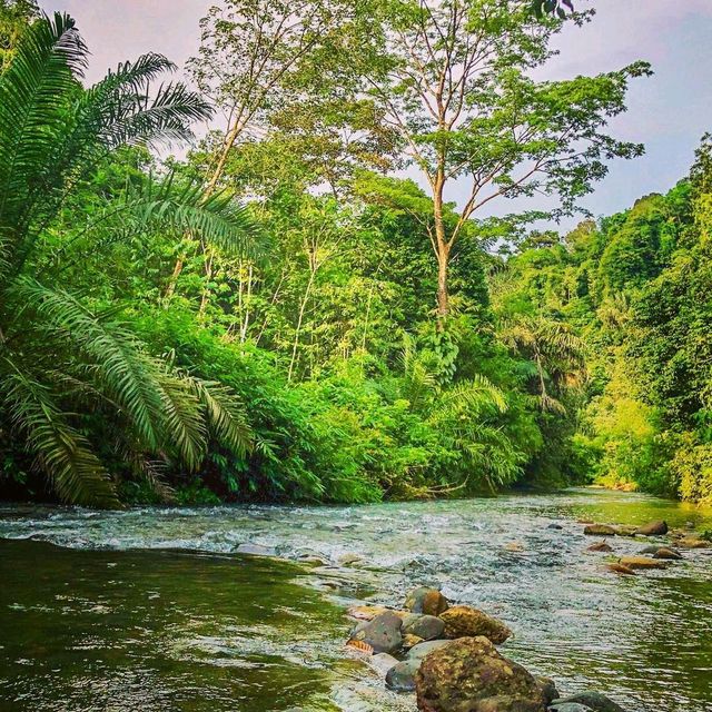 Bukit Lawang