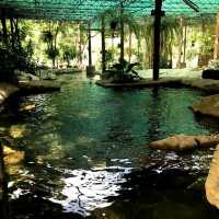  Rock Valley Hot Spring and Fish Spa กาญ