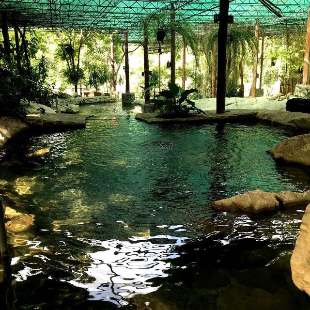  Rock Valley Hot Spring and Fish Spa กาญ