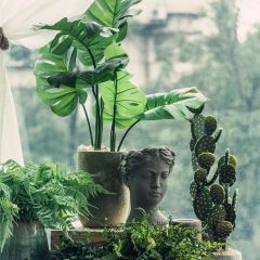 101WINE·意大利餐厅(万科里店) User Photo