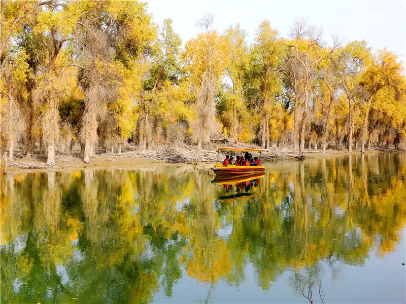 3_Tarim Populus Euphratica Forest Park