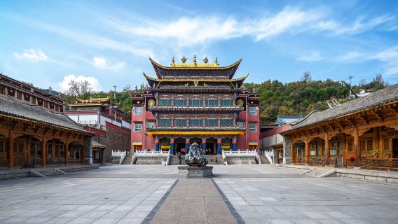 青海西寧+塔爾寺半日遊【精品小團/市區免費接】
