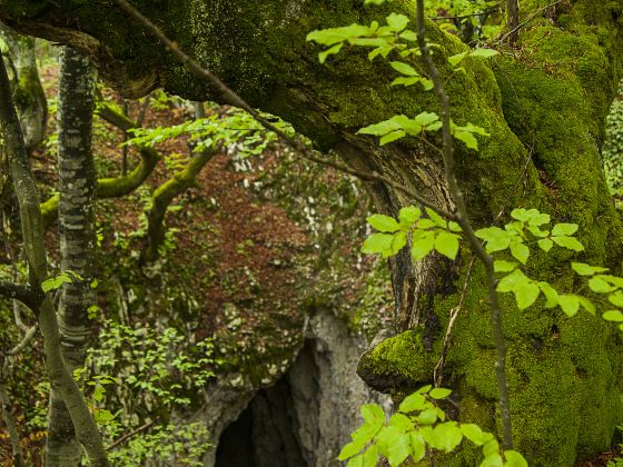 Xiangshan Scenic Area