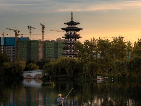 洋湖湿地公園