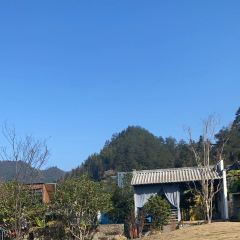 黄山魔宿·厢居集装箱野奢民宿·餐饮 User Photo