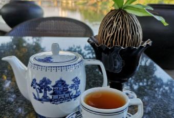 BODHI TERRACE User Photo