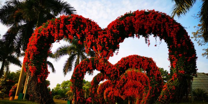 Zhangzhou Southeast Flower City