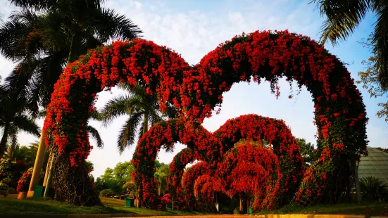 เมืองดอกไม้ตะวันออกเฉียงใต้ของ Zhangzhou