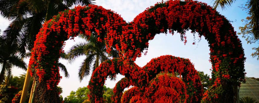 Zhangzhou Southeast Flower City