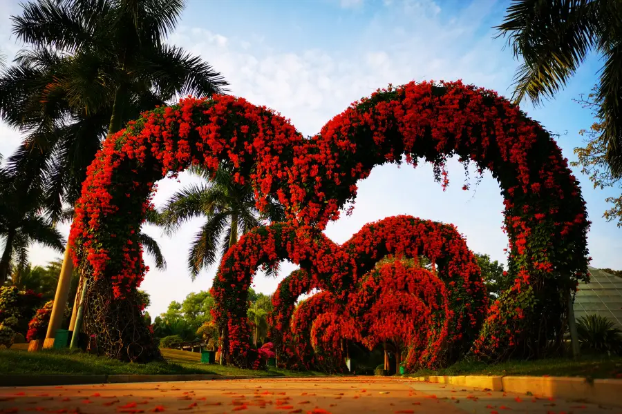 เมืองดอกไม้ตะวันออกเฉียงใต้ของ Zhangzhou