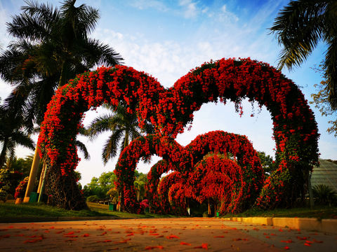 เมืองดอกไม้ตะวันออกเฉียงใต้ของ Zhangzhou