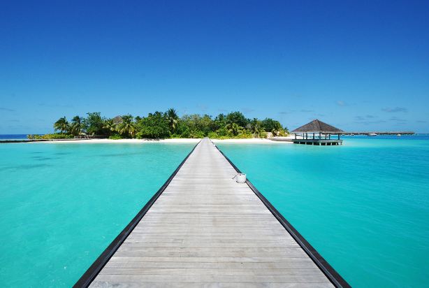 Kudafushi