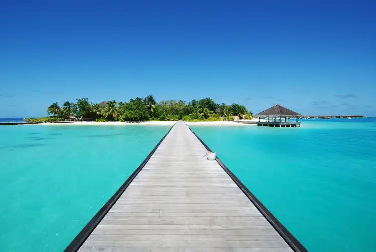 Kudafushi