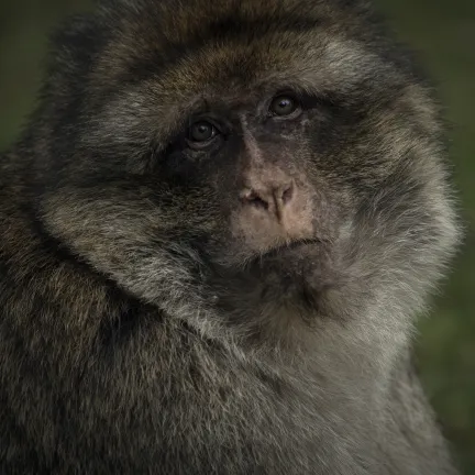 Авиабилеты Оита Сивас