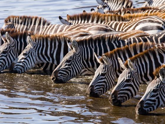 Serengeti National Park