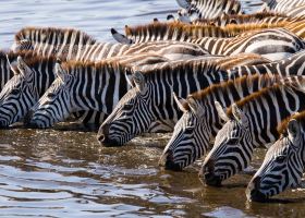 British Airways flights to Mbeya