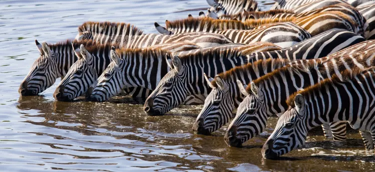 Отзывы об отеле Blackwood Boutique Hotel and Apartments