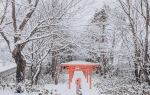 Sapporo Fushimi Inari Shrine