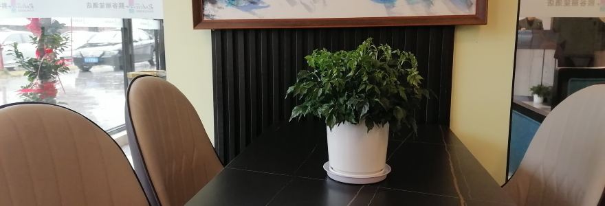 武功山熙谷丽笙酒店·自助餐厅