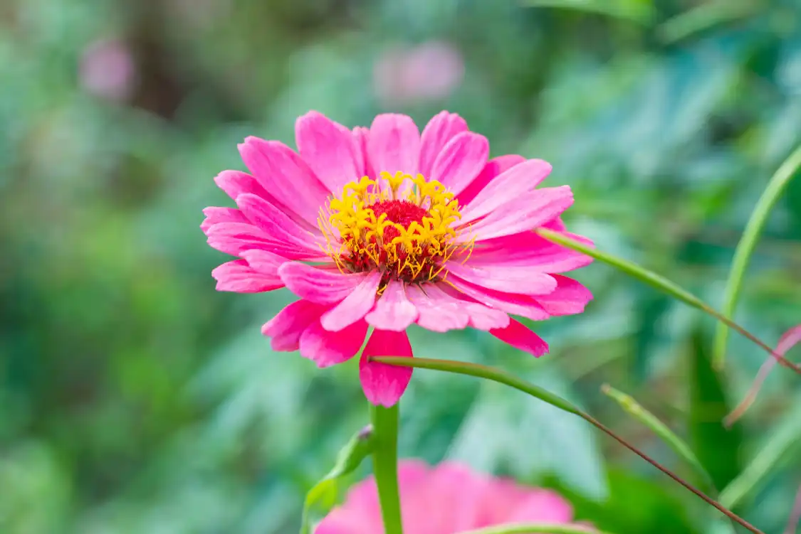 Hotels near Liuchao Flower Sea