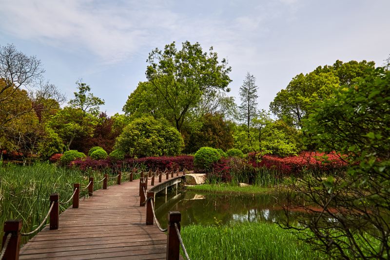 Dayanghan City Wetland Park