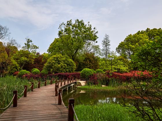 Dayanghan City Wetland Park