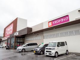 永旺药妆（丰见店）