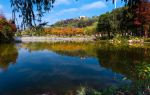 Songgang Park