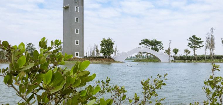 Poly international plaza area independent travel guide (2025): top ...